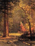 Albert Bierstadt Dogwood by Albert Bierstadt oil on canvas